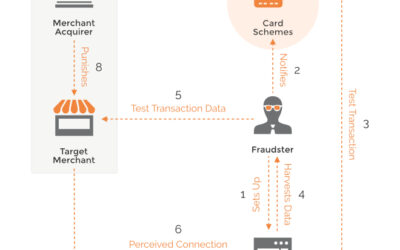 paytide Tackling Transaction Laundering